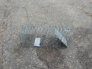 Large Live Animal Trap