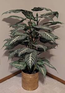 LR - Potted Faux Dieffenbachia Plant - Approximately 4 Ft Tall in Gold-Tone Planter