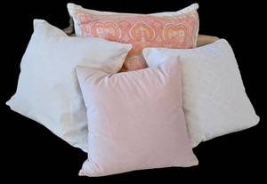 LR - Pottery Barn & Ralph Lauren Pillow Covers with Inserts