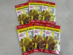 6 New Packs of Sticky Traps for Planters to Catch Small Bugs and Gnats