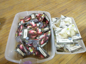 Onion Seed Packets