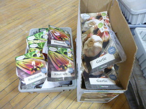 Rhubarb and Garlic Seed Packets
