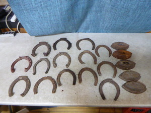 Vintage Horseshoes and Irons