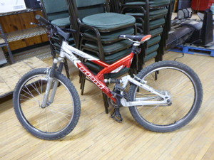 Warp Giant DS2 Trail Bicycle