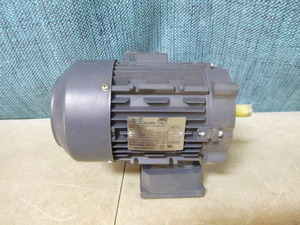 Techtop Industrial Electric Motor