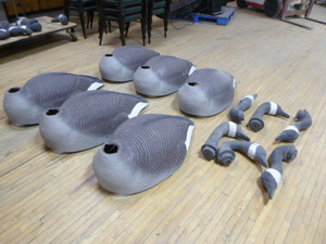 6 Canadian Goose Decoys