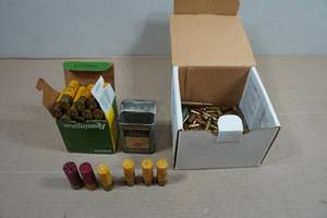 Damaged Ammo - For Parts