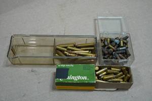 Assorted .22 Magnum, Long, and Short Ammo