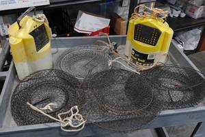 Minnow Buckets and Catch Nets