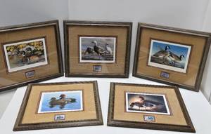 Lot of 5 Framed Signed Numbered Wildlife Stamp Prints&nbsp