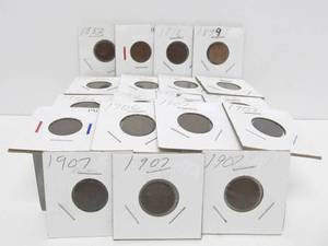 Lot of 19 Different Indian Head Pennies from 1882-1907&nbsp