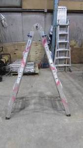 Werner Extendable Step Ladder