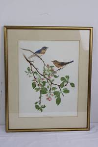 Geri Arnold Birds on Branch Print - Framed Artwork, 20 x 24.5 Inches