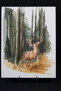 Geri Arnold Deer in Forest - 16.5 x 22 Inch Artwork on Paper