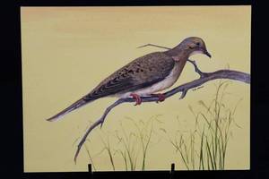 Geri Arnold Bird Painting - Perched on Branch 10 x 14