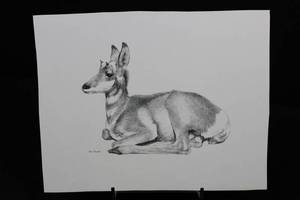 George Arnold - Graphite Drawing of a Greyhound in Profile Approximately 15 x 13