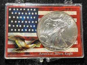 2013 AMERICAN SILVER EAGLE 1 TROY OZ .999 FINE SILVER IN CASE