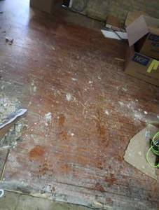 ANTIQUE HARDWOOD MAPLE FLOORING (ROOM BY RAMP)