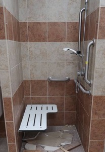 HANDICAP SHOWER SET UP