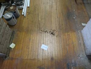 ANTIQUE HARDWOOD MAPLE FLOORING (BACK ROOM)