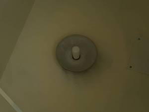 ANTIQUE PORCELAIN LIGHT SHADE