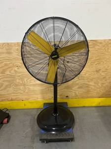 Big fan