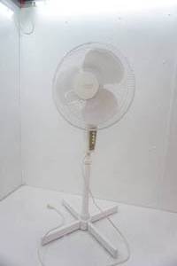 Pedestal Fan
