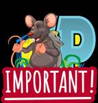 Important Shipping and Auction Information - Removal at Packrat Junction, 181 US-21, Bird Island, MN 55310
