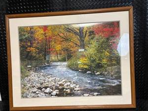 Ricordi Arte 1989 Autumn Forest Landscape Framed Print