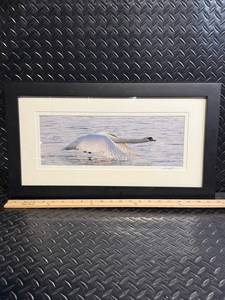 Framed Mute Swan Taking Flight on Water Print - Pencil Signed Studio Gallery Artwork, Sister Bay WI