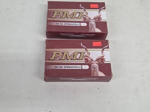 Denel PMP 30-06 Springfield Ammunition - 40 Cartridges (2 Boxes)
