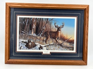 Resting Place by Jim Hansel - Framed Wildlife Print