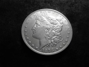 1878 Morgan Silver Dollar  3rd Reverse (1879)