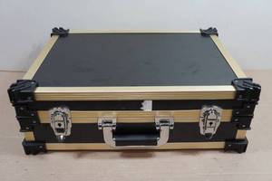 TZ Case International Gold Slab Case