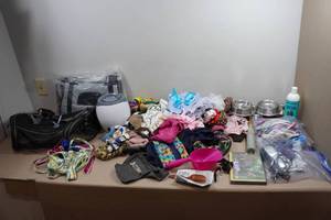 Large Assortment of Pet Supplies - Carriers, Clothing, Dishes