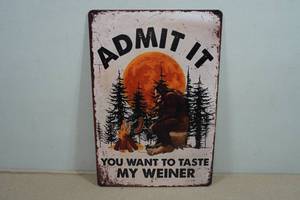 Vintage Style Metal Sign - Admit It