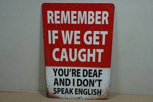Vintage Style Metal Sign - Remember If We Get Caught