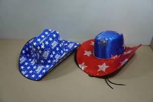 2 Western Style Party Hats