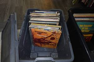 Assorted Vinyl Record Albums