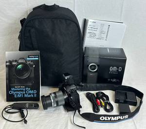 Olympus OM-D E-M1 Mark II Digital Mirrorless Camera bundle with Olympus M.zuiko Digital ED 14-1500mm lens & Olympus FL-LM3 Compact Flach Unit