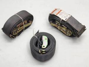 (3) Large Cargo Straps
