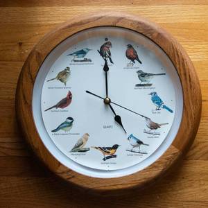 Bird  Wall Clock
