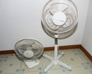 Set of Two Fans