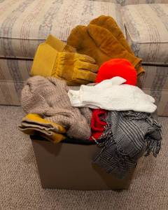 Assorted Winter Gear & Work Gloves Lot