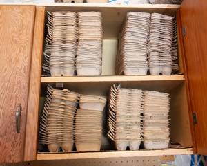 Egg Crates  Large Quantity Lot