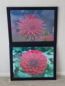 Two 18 x 22 Floral Framed Photos