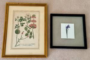 Two Floral Artworks - Roses by Johann Weinmann and Iris Print