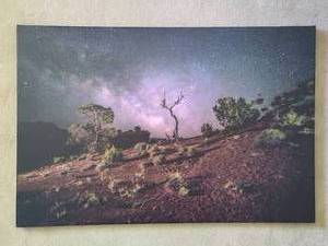 Milky Way at Capitol Reef Canvas Print