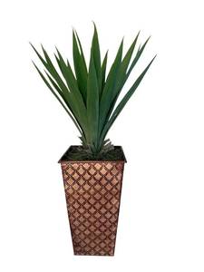 Yucca Plant in Ornate Diamond-Lattice Planter - Indoor Decorative Accent