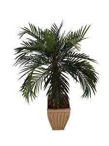 Fake Palm Plant - 4 Feet Tall in Plastic Pot